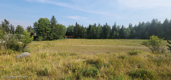 Commercial Building & Land in Williams Lake